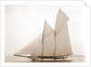 Alcaea (Schooner), 1892 by Anonymous