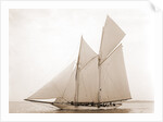 Alcaea (Schooner), 1892 by Anonymous