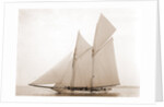 Alcaea (Schooner), 1892 by Anonymous