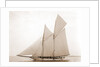 Alcaea (Schooner), 1892 by Anonymous