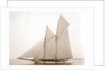 Alcaea (Schooner), 1892 by Anonymous