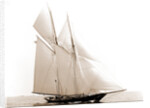 Lasca (Schooner), 1892 by Anonymous
