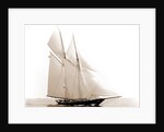 Lasca (Schooner), 1892 by Anonymous