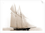Lasca (Schooner), 1892 by Anonymous