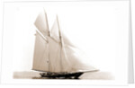 Lasca (Schooner), 1892 by Anonymous