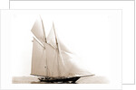 Lasca (Schooner), 1892 by Anonymous