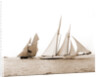 Alcaea and Lasca, Alcaea (Schooner), 1892 by Anonymous