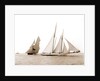 Alcaea and Lasca, Alcaea (Schooner), 1892 by Anonymous