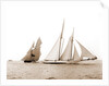 Alcaea and Lasca, Alcaea (Schooner), 1892 by Anonymous