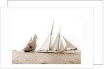 Alcaea and Lasca, Alcaea (Schooner), 1892 by Anonymous