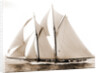 Alcaea (Schooner), 1892 by Anonymous