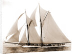Alcaea (Schooner), 1892 by Anonymous