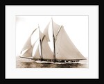 Alcaea (Schooner), 1892 by Anonymous