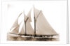 Alcaea (Schooner), 1892 by Anonymous