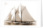 Alcaea (Schooner), 1892 by Anonymous