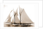 Alcaea (Schooner), 1892 by Anonymous
