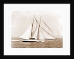 Oenone (Schooner), 1892 by Anonymous