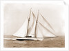 Oenone (Schooner), 1892 by Anonymous