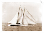 Oenone (Schooner), 1892 by Anonymous