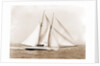 Oenone (Schooner), 1892 by Anonymous