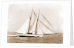 Oenone (Schooner), 1892 by Anonymous