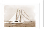 Oenone (Schooner), 1892 by Anonymous
