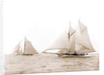 Quickstep and Gloriana, August 6, 1892, Quickstep (Schooner), Gloriana (Yacht) by Anonymous