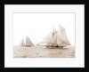 Quickstep and Gloriana, August 6, 1892, Quickstep (Schooner), Gloriana (Yacht) by Anonymous