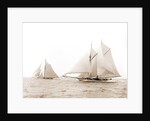 Quickstep and Gloriana, August 6, 1892, Quickstep (Schooner), Gloriana (Yacht) by Anonymous
