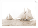 Quickstep and Gloriana, August 6, 1892, Quickstep (Schooner), Gloriana (Yacht) by Anonymous