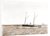 The Senator, Senator (Steam yacht), 1892 by Anonymous