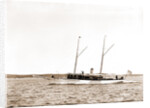 The Senator, Senator (Steam yacht), 1892 by Anonymous