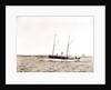 The Senator, Senator (Steam yacht), 1892 by Anonymous