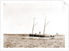 The Senator, Senator (Steam yacht), 1892 by Anonymous
