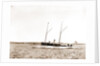 The Senator, Senator (Steam yacht), 1892 by Anonymous