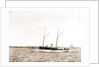 The Senator, Senator (Steam yacht), 1892 by Anonymous