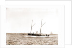 The Senator, Senator (Steam yacht), 1892 by Anonymous