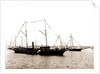 Susquehanna (Steam yacht), 1892 by Anonymous