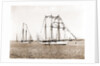 Sultana (Steam yacht), 1892 by Anonymous