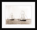 N.Y.Y.C. fleet, Vineyard Haven, New York Yacht Club, Yacht clubs, Massachusetts, Vineyard Haven, 1892 by Anonymous