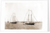 N.Y.Y.C. fleet, Vineyard Haven, New York Yacht Club, Yacht clubs, Massachusetts, Vineyard Haven, 1892 by Anonymous