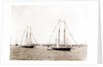 N.Y.Y.C. fleet, Vineyard Haven, New York Yacht Club, Yacht clubs, Massachusetts, Vineyard Haven, 1892 by Anonymous