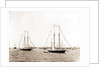 N.Y.Y.C. fleet, Vineyard Haven, New York Yacht Club, Yacht clubs, Massachusetts, Vineyard Haven, 1892 by Anonymous