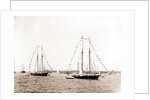 N.Y.Y.C. fleet, Vineyard Haven, New York Yacht Club, Yacht clubs, Massachusetts, Vineyard Haven, 1892 by Anonymous