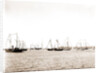N.Y.Y.C. fleet, Vineyard Haven, August 7, '92, New York Yacht Club, Yacht clubs, Massachusetts, Vineyard Haven, 1892 by Anonymous
