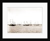 N.Y.Y.C. fleet, Vineyard Haven, August 7, '92, New York Yacht Club, Yacht clubs, Massachusetts, Vineyard Haven, 1892 by Anonymous