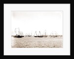 N.Y.Y.C. fleet, Vineyard Haven, August 7, '92, New York Yacht Club, Yacht clubs, Massachusetts, Vineyard Haven, 1892 by Anonymous