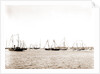 N.Y.Y.C. fleet, Vineyard Haven, August 7, '92, New York Yacht Club, Yacht clubs, Massachusetts, Vineyard Haven, 1892 by Anonymous