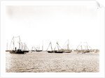 N.Y.Y.C. fleet, Vineyard Haven, August 7, '92, New York Yacht Club, Yacht clubs, Massachusetts, Vineyard Haven, 1892 by Anonymous