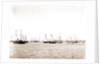 N.Y.Y.C. fleet, Vineyard Haven, August 7, '92, New York Yacht Club, Yacht clubs, Massachusetts, Vineyard Haven, 1892 by Anonymous